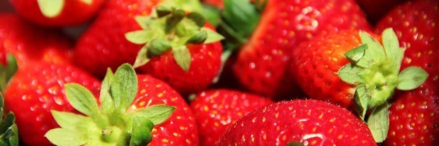 Repleción del glucógeno